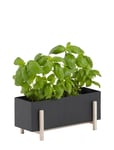 Botanic Herb Box Home Decoration Flower Pots Black Design House Stockholm