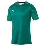 PUMA Cup Training Jersey