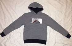Nike Air Jordan Sport DNA HBR Men's Grey Fleece  Sweatshirt Hoodie Size XL BNWT