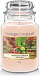 Yankee Large Jar  Tranquil Garden Scented Candle Scented Candle 623g 150H Burn