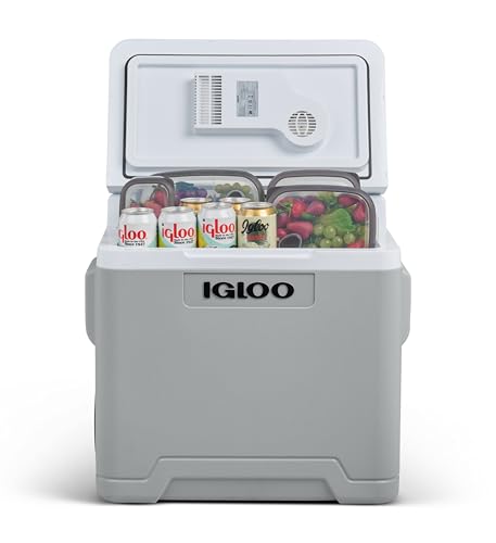 Acheter Réfrigérateur de voiture Mini-congélateur, glacière électrique de camping, réfrigérateur portable de 6 L, glacière de camping, glacière isolante à double usage, légère