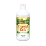 Klorofyl Drik - 480 ml