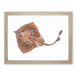 Brown Ray By Edward Donovan Vintage Framed Wall Art Print, Ready to Hang Picture for Living Room Bedroom Home Office Décor, Oak A2 (64 x 46 cm)