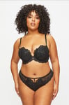 The Icon Fuller Bust DD+ Padded Plunge Black