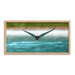 Sanchezn Swallow Bird Drinking Swimming Pool Photo Framed Wall Art Print Long 25X12 Inch