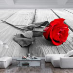 Fototapet - Abandoned Rose - 343 x 245 cm - Selvklæbende