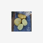 Sättpotatis, Columba, 1 kg