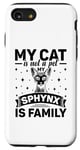 Coque pour iPhone SE (2020) / 7 / 8 Mon chat n'est pas un animal de compagnie Le sphynx est un chat sans poils de la famille canadienne