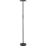 Ledvance Smart+ Wifi UpDown golvlampa, färgskiftande + vit
