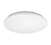 Rabalux 71036 - Himmennettävä LED-RGB-kattovalaisin CERRIGEN LED/48W/230V