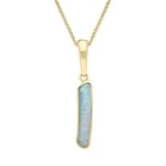 18ct Yellow Gold Opal Long Organic Oblong Necklace D