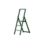 Step Ladder, Green