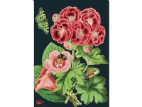Madame Treacle Karnet B6 z kopertą Różowa pelargonia