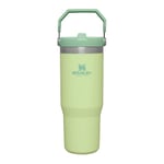 Stanley Iceflow Flip Straw Tumbler 0.89l (GREEN (CITRON))