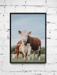 Poster Kossa - 40x50 cm