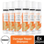 6 Pack of 250ml Toni & Guy Fibre Strengthening Shampoo for All Types of Hair