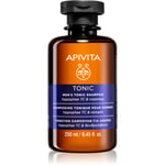 Apivita Men's Care HippophaeTC & Rosemary Shampoo mod hårtab 250 ml