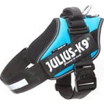Julius-K9 IDC Sele Strl. 1 Aquamarine 66-85 cm