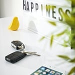 Somfy TaHoma switch + GDK 700