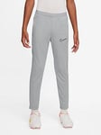 Nike Youth Academy 23 Dry Fit Pant - Silver, Silver, Size S