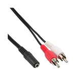 InLine 89940E Câble 2 RCA Mâle vers Jack 3,5 mm Noir 3 m