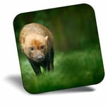 Awesome Fridge Magnet - Awesome Brown Wild Bush Dog Cool Gift #3143