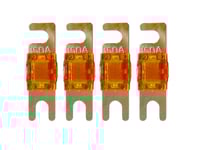 Acv Mini Anl-Säkring 60 Ampere Paket