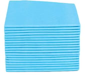 100Pc Super Sweat Absorbent Deodorant Clean Clean Pet Safety Soft Nonwoven Leakproof Training Dog Diaper Disposable Mat