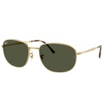 Ray-Ban RB3754 Polished Arista Gold