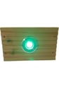 Ellumiere Large Colour Lens for Deck Light (Green)