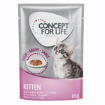 Concept for Life Maine Coon Kitten - paranneltu koostumus! - lisäksi: 12 x 85 g Concept for Life Kitten in Gravy
