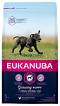 Eukanuba Puppy Dog Food For Large Dogs Rich In Fresh Chicken For the Optimal Body Condition of Your Dog 3kg