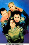 Empire 13231 Poster Red Hot Chili Peppers Blue Band 61 x 91,5 cm
