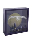 - Harry Potter Hedwig Frame Money Box