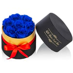 NUPTIO Royal Blue Preserved Roses Small Box of Roses Infinity Rose Flower That Last 2-3 Years, Real Flowers for Valentine's Day Mother's Day Birthday Christmas Anniversary Wedding Thanksgiving