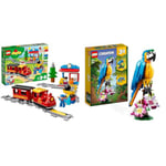 LEGO 10874 DUPLO Town Steam Train, Toys for Toddlers, Boys and Girls Age 2-5 Years Old with Light & Sound & 31136 Creator 3 in 1 Exotic Parrot to Frog to Fish Animal Figures Building Toy