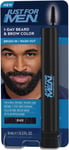 Just For Men 1-Day Beard and Brow Colour Brush For Instant 1-Step Grey Coverage 