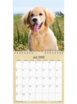 Vægkalender Hundehvalpe 2024