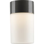 Tak- och väggarmatur Opus 100/175 grå, matt opal LED 8W 2700K