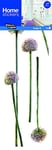DRAEGER PARIS 1886 | Sticker Fenêtre Fleurs d'Ail Rose Sans Colle 23.5x67 cm | Motif Double Face Écologique | Pour Fenêtres, Pare-Douches, Miroirs | Sans Phtalates | Fabriqué en France