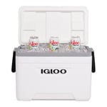 Igloo Marin 25QT Kylbox -
