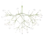 Moooi Heracleum III Suspended Large green