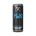 Viking Power 24 x PWO Dyck - 330 ml Blue Raspberry Citrullinmalat, Beta-alanin, Koffein, Energidryck