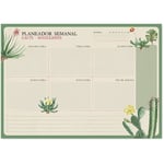 Buck - a4 botanical cacti portugues kokonote weekly planner pad