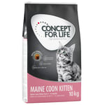 Concept for Life Maine Coon Kitten - paranneltu koostumus! - säästöpakkaus: 2 x 10 kg