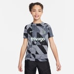 Nike Chelsea Tränings T-Shirt Dri-FIT Pre Match - Grå/Svart/Grön Barn adult DZ1351-066