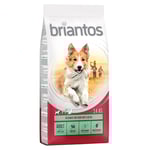 10 % rabatt! 12/14 kg Briantos torrfoder - Adult Lamm & ris (14 kg)