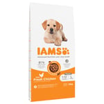 10 + 2 kg på köpet! 12 kg IAMS for Vitality Dog hundfoder - Puppy & Junior Large