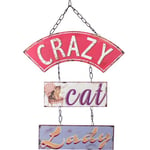 Something Different Crazy Cat Lady Hanging Sign One Size Flerfär