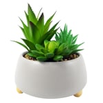 12cm Ceramic Pebble White Planter with Three Artificial Succulent Plants